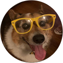 Nik Aizpuru profile picture