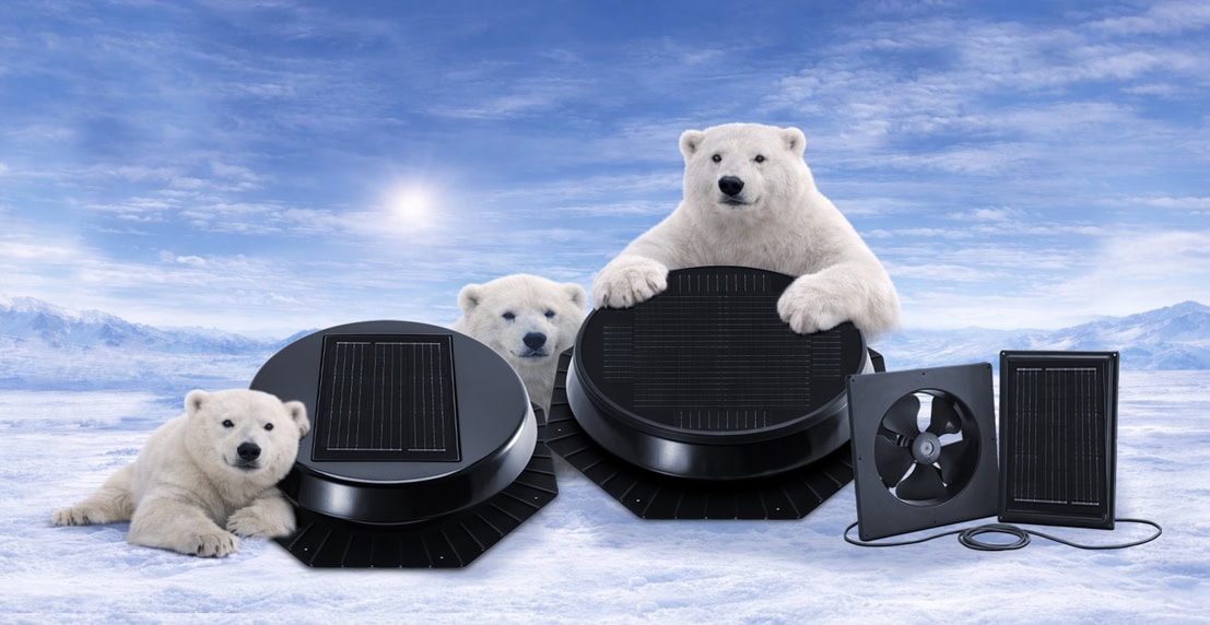 Polar Bears surrounding Solatube Attic Fans